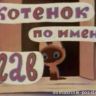 Котёнок по имени "Гав".