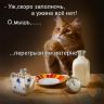 Фото без названия