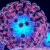 Животворящая терапия? Как и что лечат стволовыми клетками