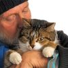 Котики снижают давление и продлевают жизнь мужчинам