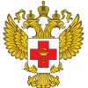 Минздрав РФ представил стратегию развития здравоохранения до 2030 г.