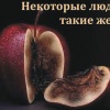 Чёрствость-проблема человека а не закона