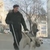 Выдворенный из поезда с собакой-поводырем инвалид доказал свою правоту в суде