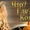 В Подольске 8 февраля пройдет чемпионат по игре «Что? Где? Когда?» среди молодых инвалидов