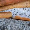 Черты и Резы: Миф или реальность?