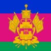 Подозревается в хищении имущества инвалидов