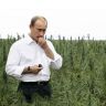 прикол