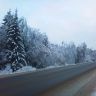 Московская обл. Ледяной дождь.1304