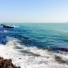 IMG_0464.jpeg