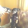 IMG_20130404_145722.jpg
