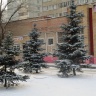 IMG_0563.JPG