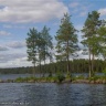 x_28790f56.jpg