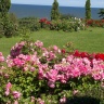 2012-07-19-273.jpg