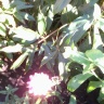 IMG_15082015_170928.jpg