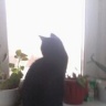 1480503522383.jpg