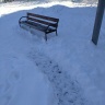 IMG_20250220_132716.jpg