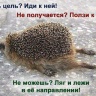 ^A7CB06E4F1268889DF348D5A924D932F3B7D1AEF6C9D7FDEEA^pimgpsh_fullsize_distr.jpg
