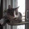 снимок 017.jpg