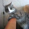 Снимок 018.jpg