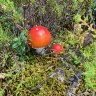 96941267-1C36-4E40-873C-65FEB88F9BFC.jpeg