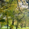 0C89AC7B-152D-4A70-B1F4-7BD140D3CF4D.jpeg