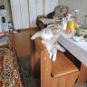 Снимок 007.JPG