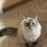 3E7B9A88-C27A-453C-88AB-BD60711051B0.jpeg