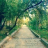 IMG_0467.jpeg
