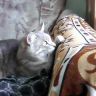 Снимок 010.jpg