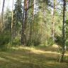 IMG_6472.jpg