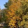 F6B47EFA-D77B-4218-977C-4CDEB555D0D5.jpeg