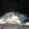 IMG_0081.JPG