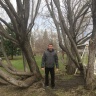 Фотоальбом 25.05.2018