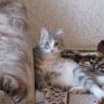 Снимок 042.JPG