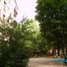 Кроны13