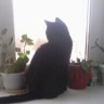 1480503624920.jpg