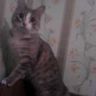 снимок 004.jpg