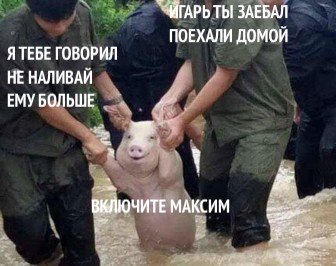 Шутки про Игоря