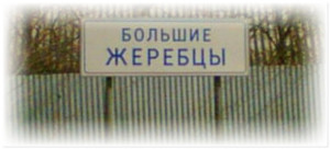 Мы едем, едем, едем.